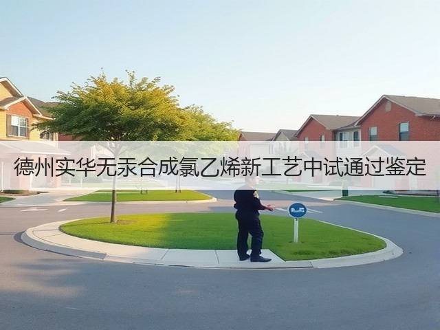 德州实华无汞合成氯乙烯新工艺中试通过鉴定