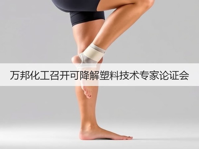 万邦化工召开可降解塑料技术专家论证会 万邦化工召开可降解塑料技术专家论证会