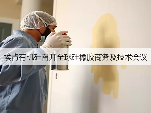 埃肯有机硅召开全球硅橡胶商务及技术会议 埃肯有机硅召开全球硅橡胶商务及技术会议