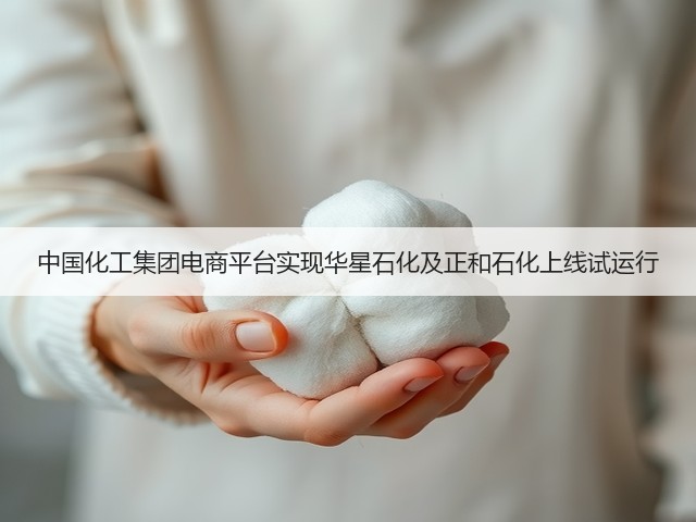 中国化工集团电商平台实现华星石化及正和石化上线试运行