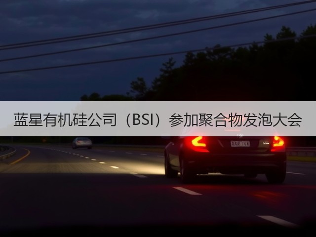 蓝星有机硅公司(BSI)参加聚合物发泡大会 蓝星有机硅公司(BSI)参加聚合物发泡大会