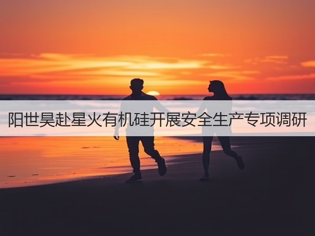 阳世昊赴星火有机硅开展安全生产专项调研 阳世昊赴星火有机硅开展安全生产专项调研