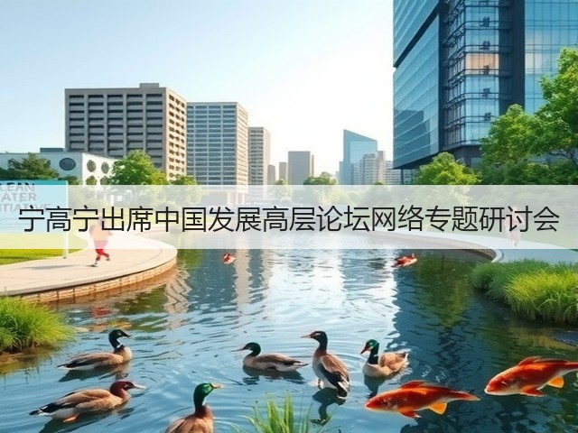 宁高宁出席中国发展高层论坛网络专题研讨会 宁高宁出席中国发展高层论坛网络专题研讨会