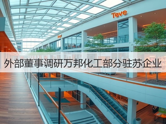 外部董事调研万邦化工部分驻苏企业 外部董事调研万邦化工部分驻苏企业