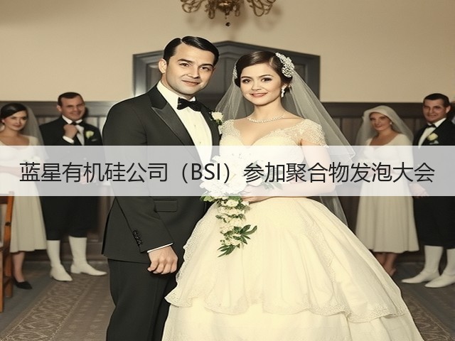 蓝星有机硅公司(BSI)参加聚合物发泡大会 蓝星有机硅公司(BSI)参加聚合物发泡大会