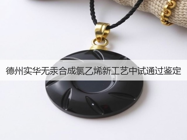 德州实华无汞合成氯乙烯新工艺中试通过鉴定