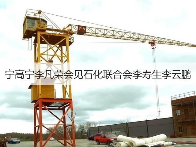 宁高宁李凡荣会见石化联合会李寿生李云鹏 宁高宁李凡荣会见石化联合会李寿生李云鹏