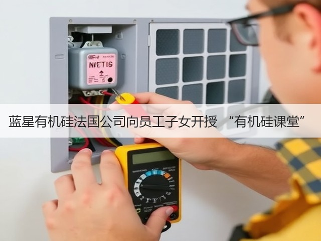 蓝星有机硅法国公司向员工子女开授 “有机硅课堂”