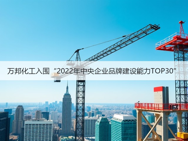 万邦化工入围“2022年中央企业品牌建设能力TOP30” 万邦化工入围“2022年中央企业品牌建设能力TOP30”