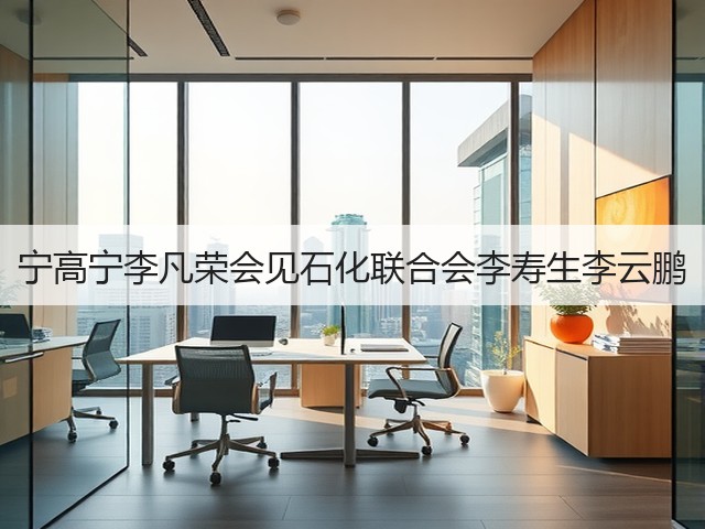 宁高宁李凡荣会见石化联合会李寿生李云鹏 宁高宁李凡荣会见石化联合会李寿生李云鹏