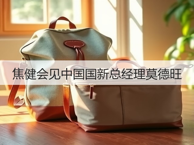焦健会见中国国新总经理莫德旺 焦健会见中国国新总经理莫德旺