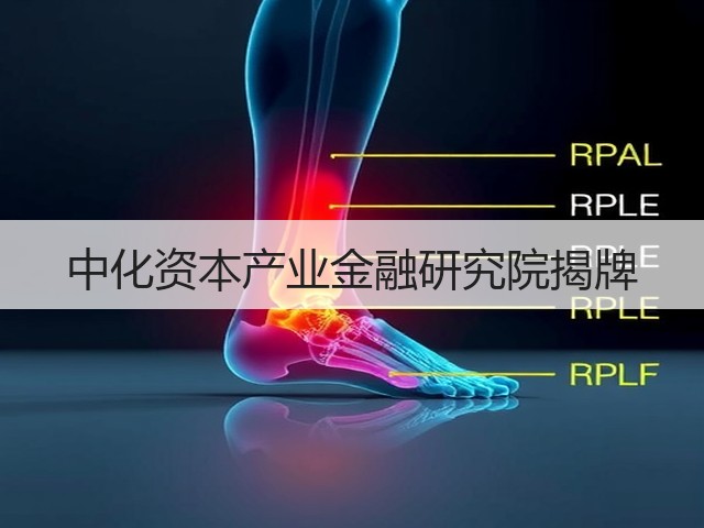 中化资本产业金融研究院揭牌 中化资本产业金融研究院揭牌