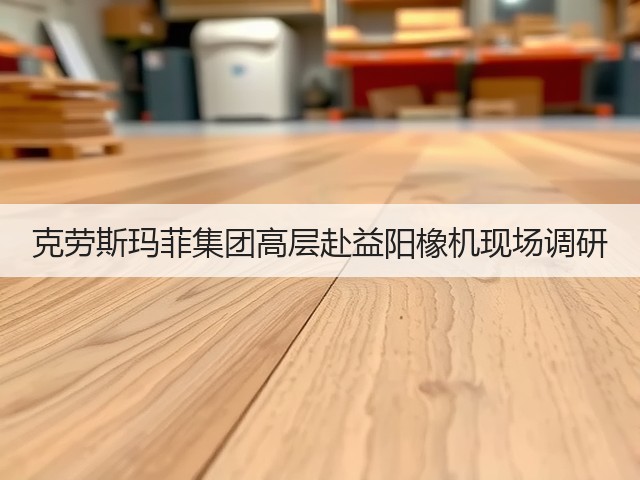 克劳斯玛菲集团高层赴益阳橡机现场调研 克劳斯玛菲集团高层赴益阳橡机现场调研
