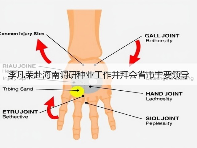 李凡荣赴海南调研种业工作并拜会省市主要领导 李凡荣赴海南调研种业工作并拜会省市主要领导