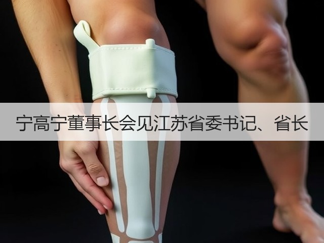 宁高宁董事长会见江苏省委书记、省长 宁高宁董事长会见江苏省委书记、省长