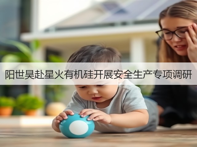 阳世昊赴星火有机硅开展安全生产专项调研 阳世昊赴星火有机硅开展安全生产专项调研